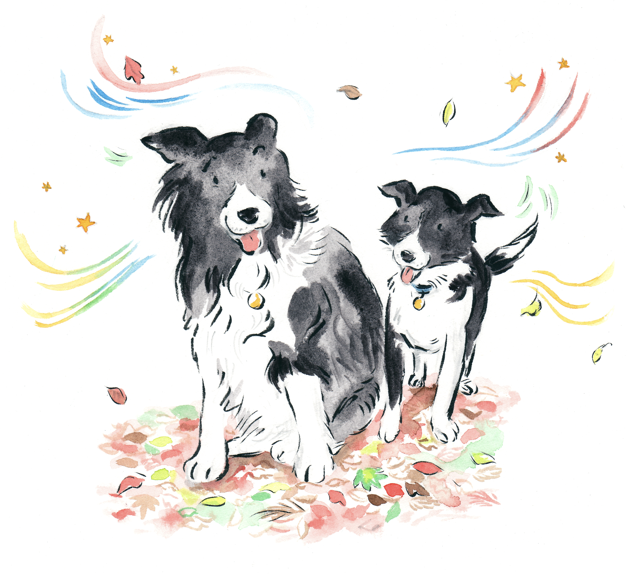 Baavet Children's Book
